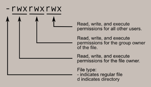 Linux chmod and chown command usage for secure file ownership management